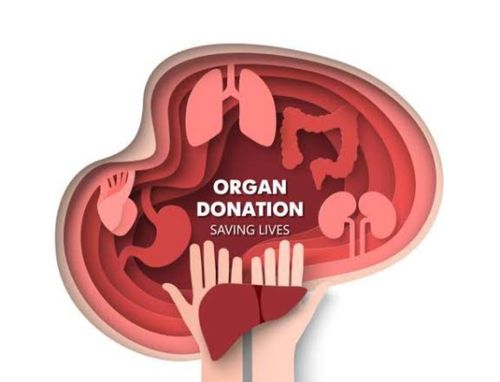 ORGAN DONATION 