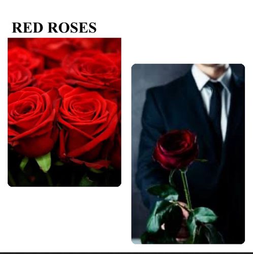 Jasmines inclination towards the man who secretly brings red roses