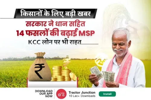 जानिए 2025-26 खरीफ सीजन के लिए किस फसल पर कितनी की बढ़ोतरी, यहां देखें पूरी लिस्ट
